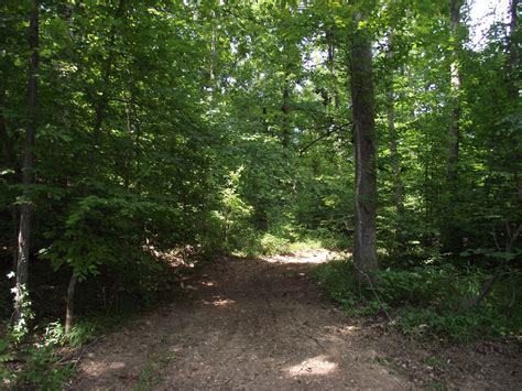 What does it take to own wooded property?